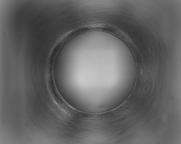X0000074230732200608250815