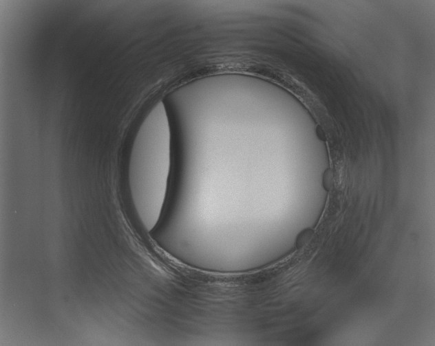 X0000074230733200608250816