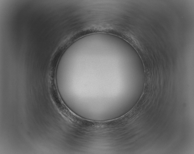 X0000074230736200608250816