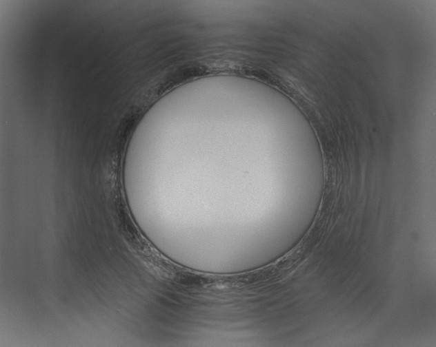 X0000074230737200608250816