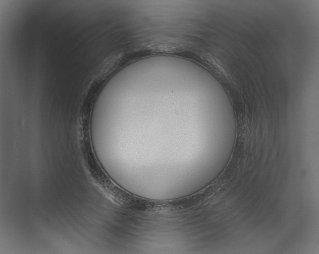 X0000074230738200608250816
