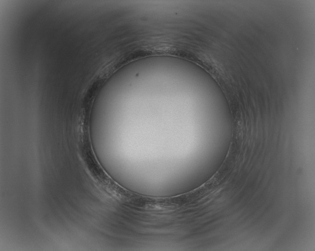 X0000074230739200608250816