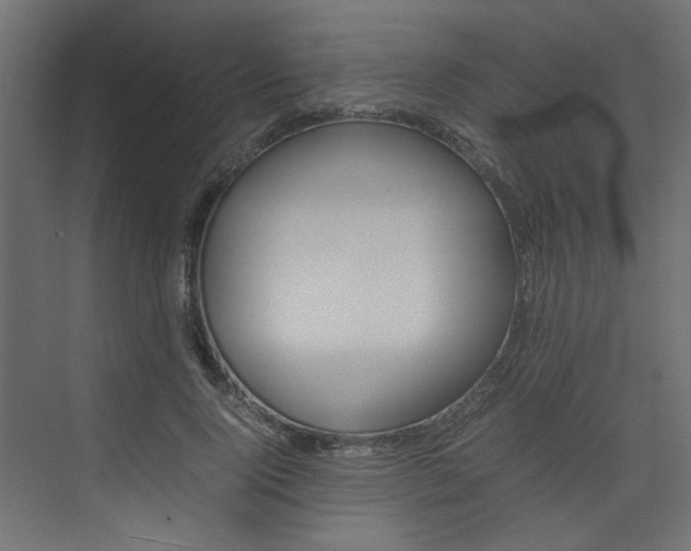 X0000074230740200608250816