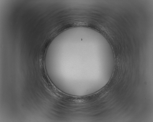 X0000074230741200608250816