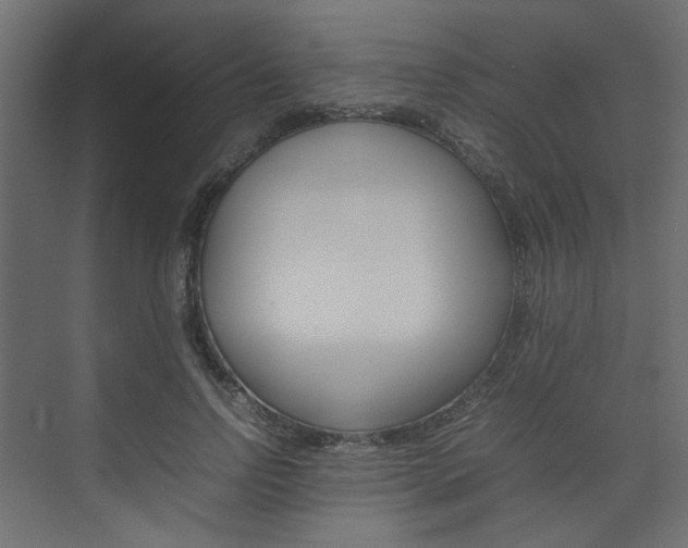 X0000074230742200608250816