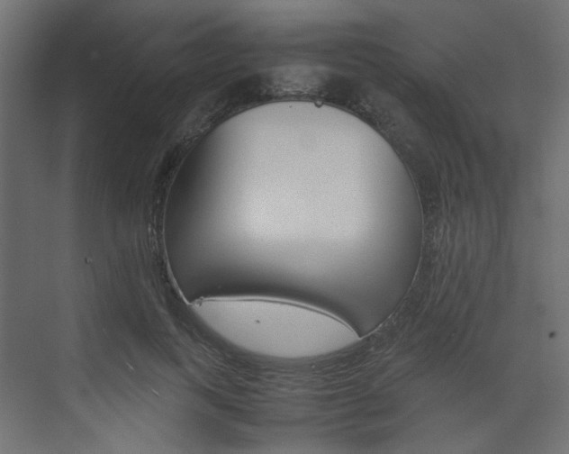 X0000074230743200608250816