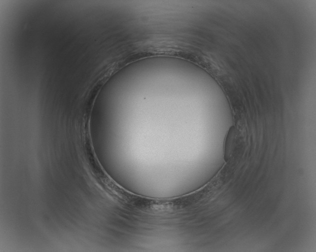 X0000074230744200608250816