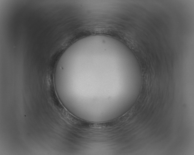 X0000074230746200608250816