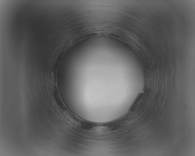 X0000074230748200608250816
