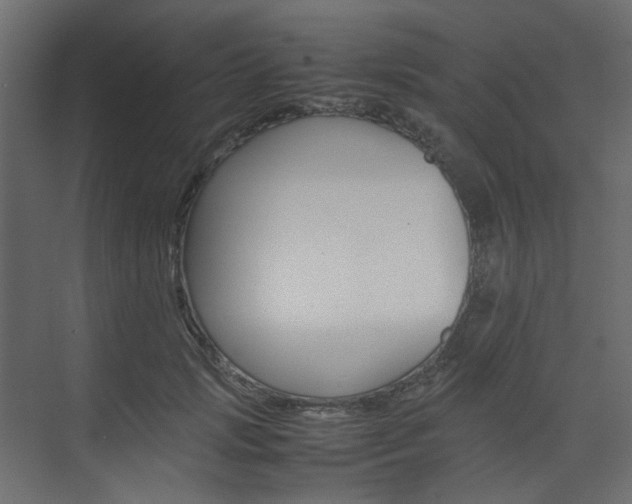 X0000074230749200608250816