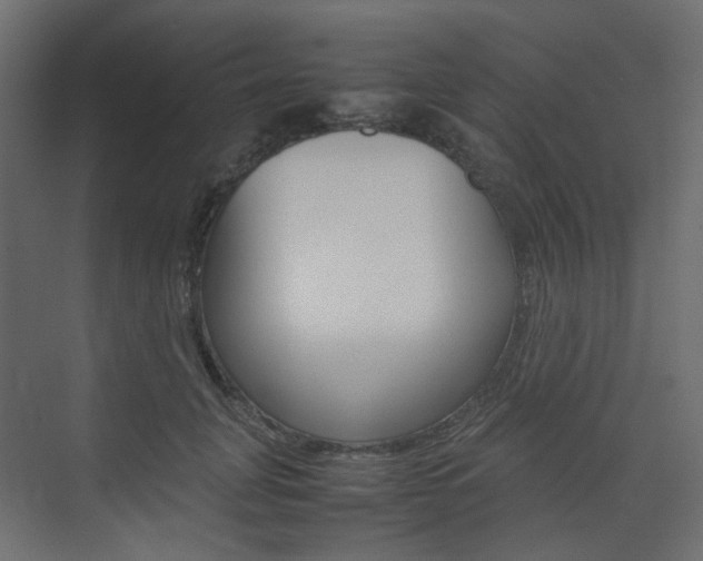 X0000074230751200608250816