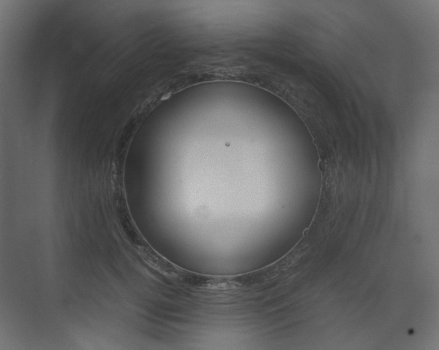 X0000074230752200608250816