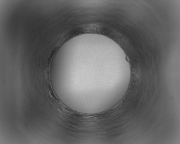 X0000074230753200608250816