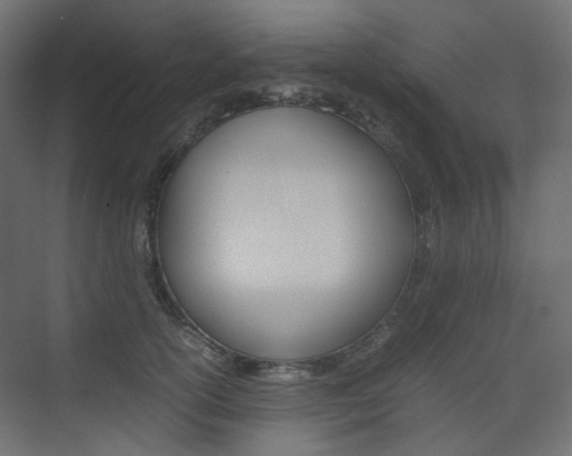 X0000074230754200608250816