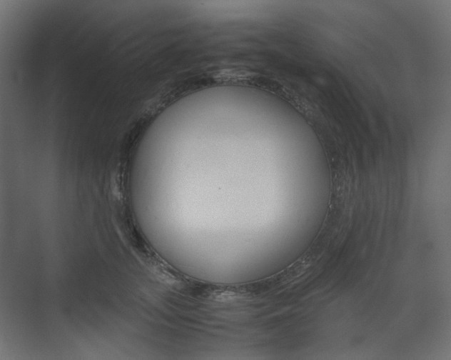 X0000074230755200608250816