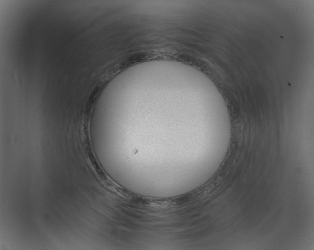X0000074230757200608250816