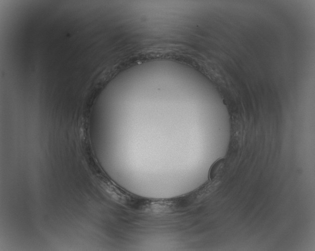 X0000074230758200608250816