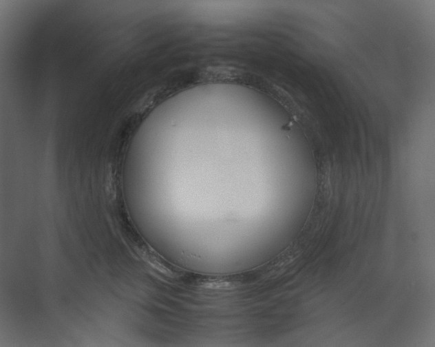 X0000074230759200608250816