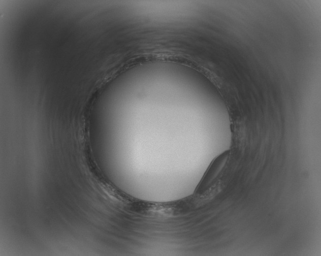 X0000074230760200608250816