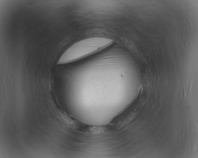X0000074230762200608250816