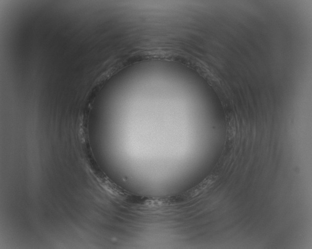X0000074230764200608250816