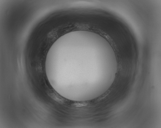 X0000074230765200608250816