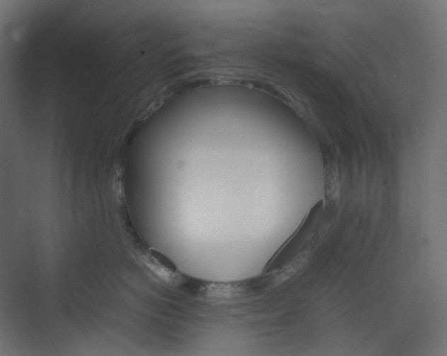 X0000074230766200608250816