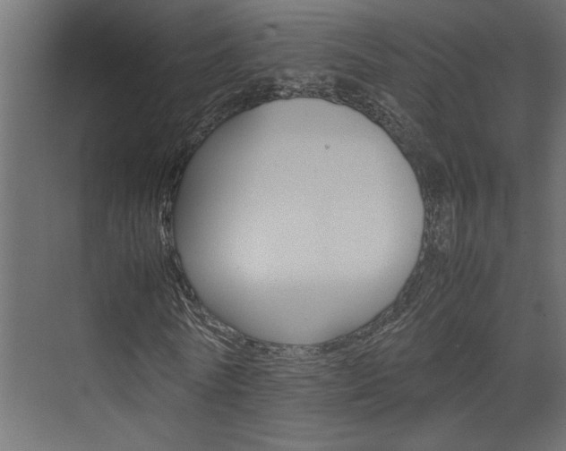 X0000074230770200608250815