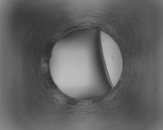 X0000074230771200608250815