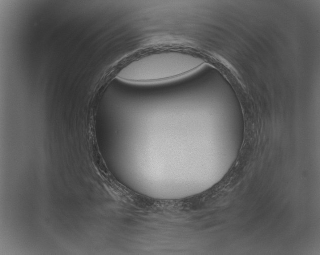X0000074230775200608250815