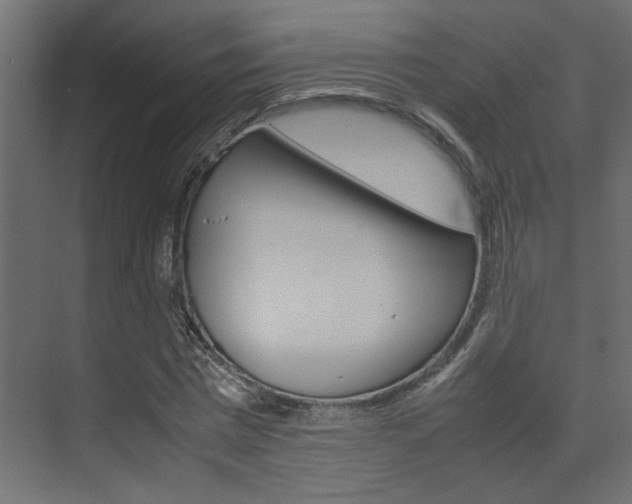 X0000074230777200608250815