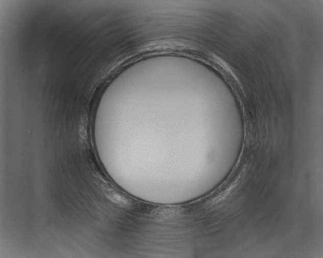 X0000074230778200608250815