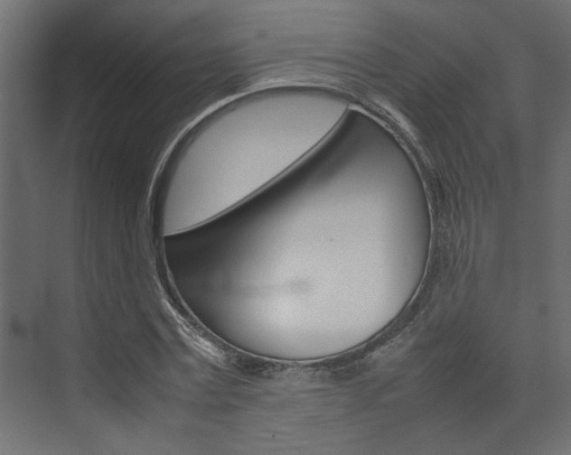 X0000074230779200608250815