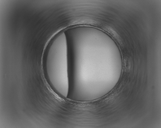 X0000074230780200608250815