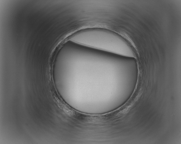 X0000074230781200608250815