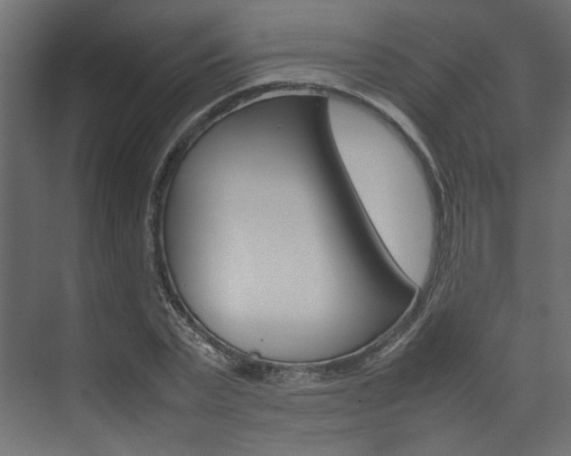 X0000074230783200608250815