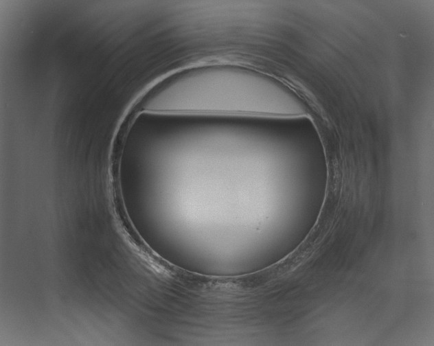 X0000074230784200608250815