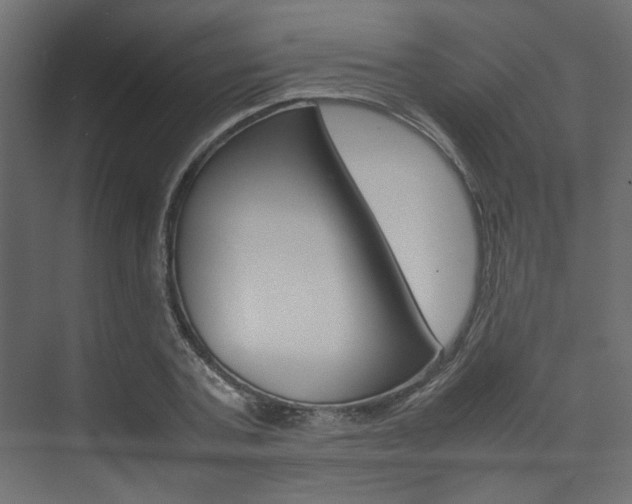 X0000074230787200608250815