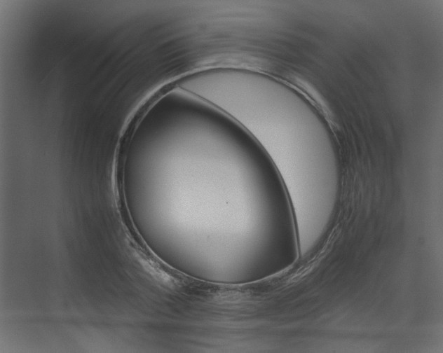 X0000074230788200608250815