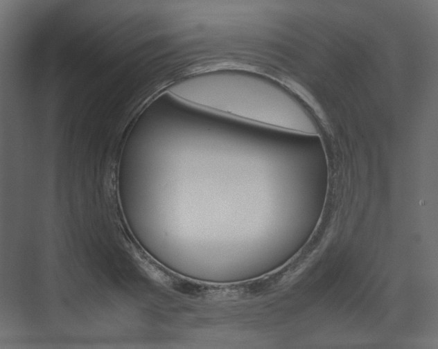 X0000074230793200608250815