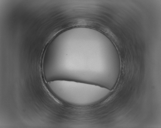 X0000074230794200608250815