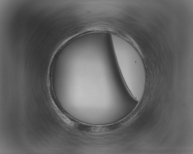 X0000074230795200608250815