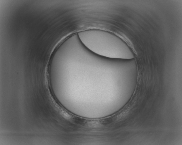X0000074230798200608250815