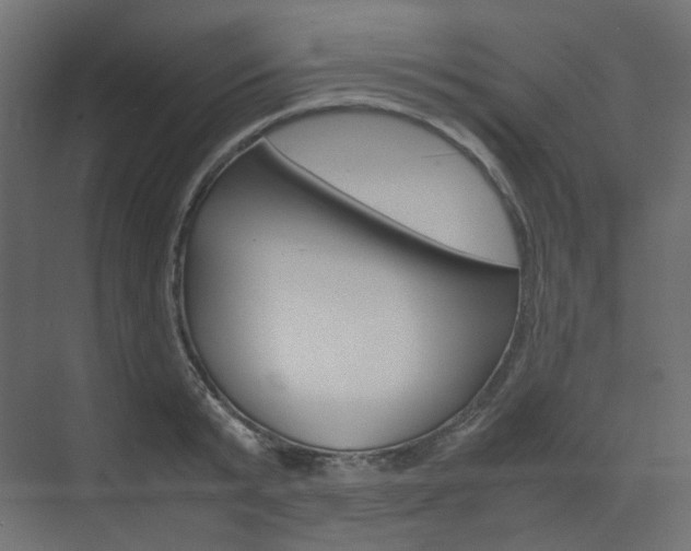 X0000074230799200608250815