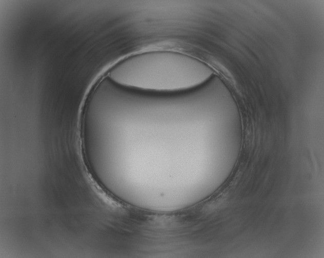 X0000074230800200608250815