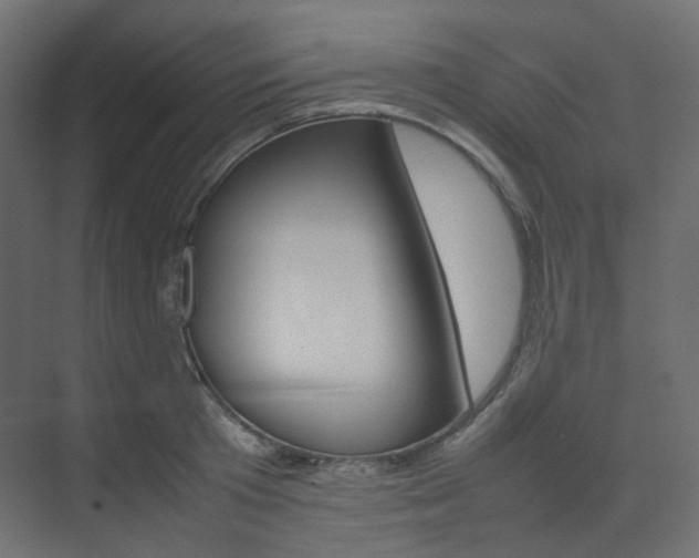 X0000074230801200608250815