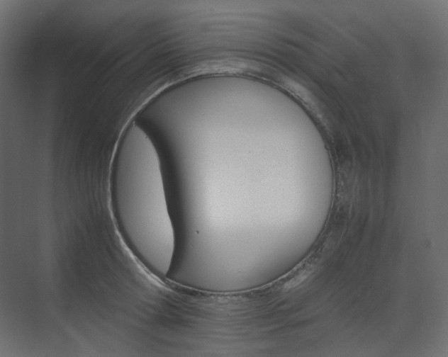X0000074230802200608250815