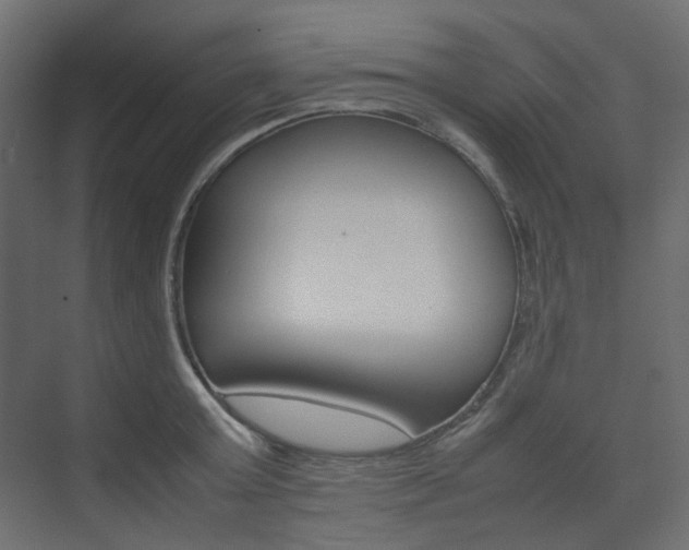 X0000074230803200608250815