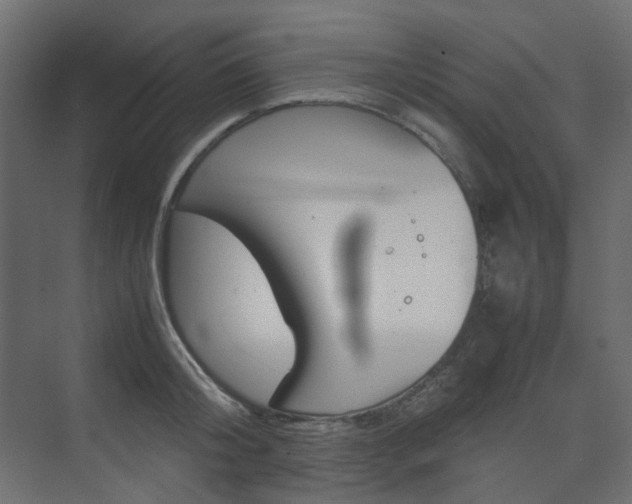 X0000074230804200608250815