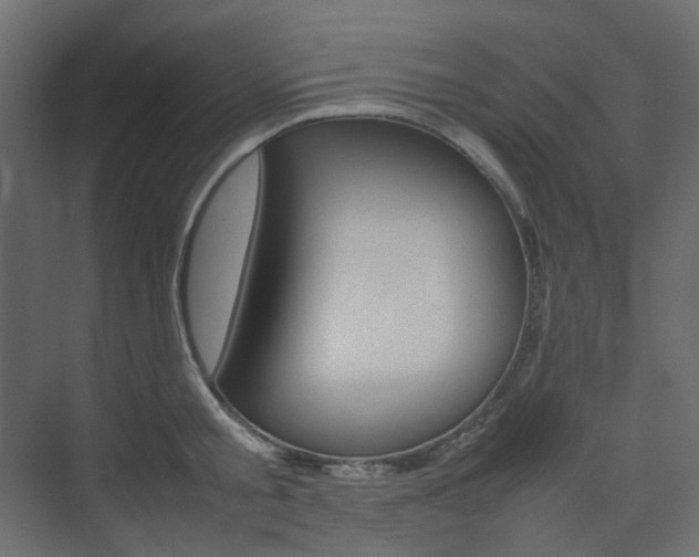 X0000074230805200608250815